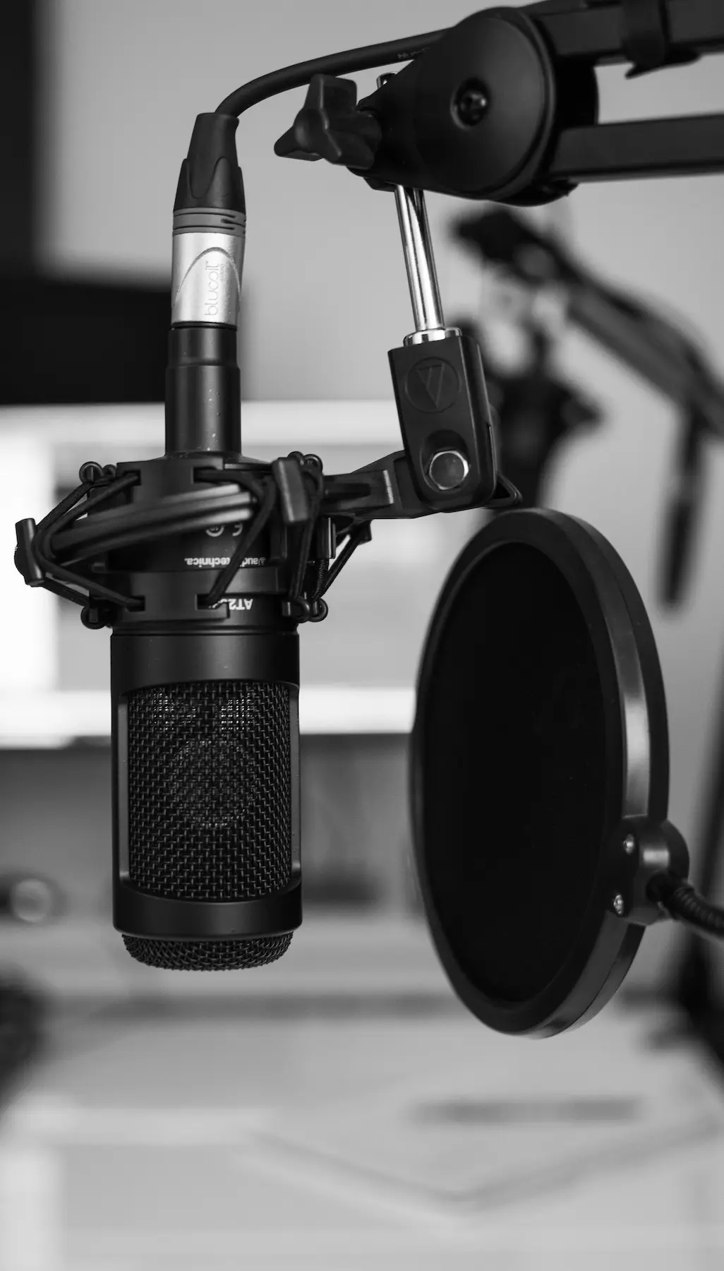 audioblogging: microphone and popsmreen