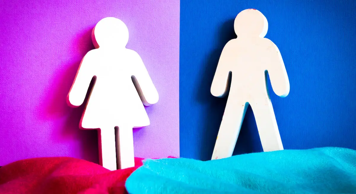 are female voice overs a better choice? Image of male & female figures