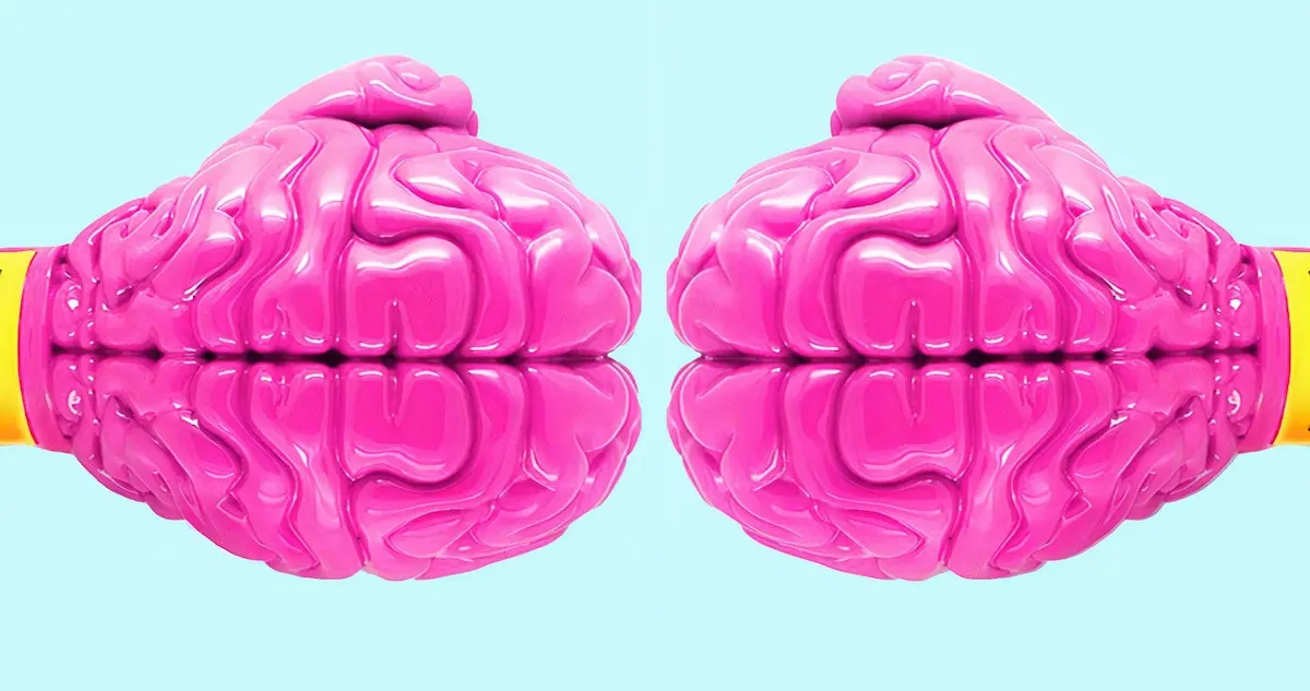 Image of boxing gloves shaped like brains