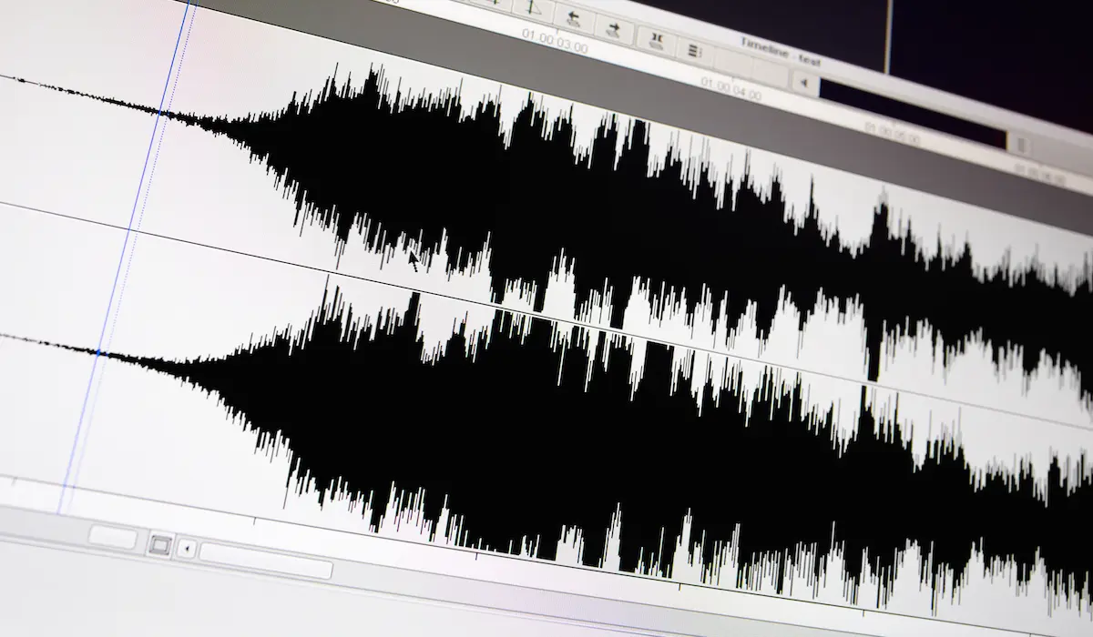 5 must-haves for a voice actor's recording environment: image of an audio file on a computer screen