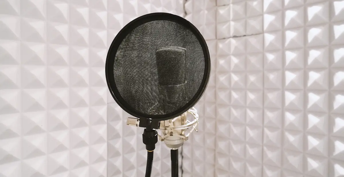 amateur voice actor: image of a professional recording booth