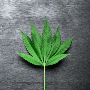take advantage of the times: image of a cannabis leaf on a table.