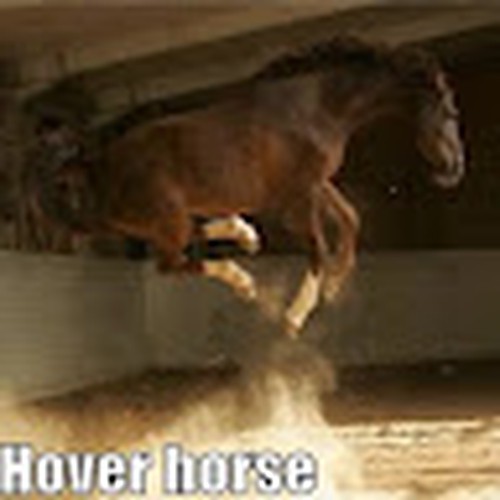Hover Horse