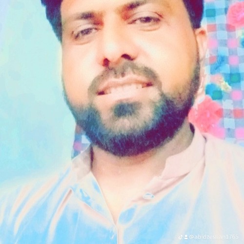 Mahar Abid Hussain Sial