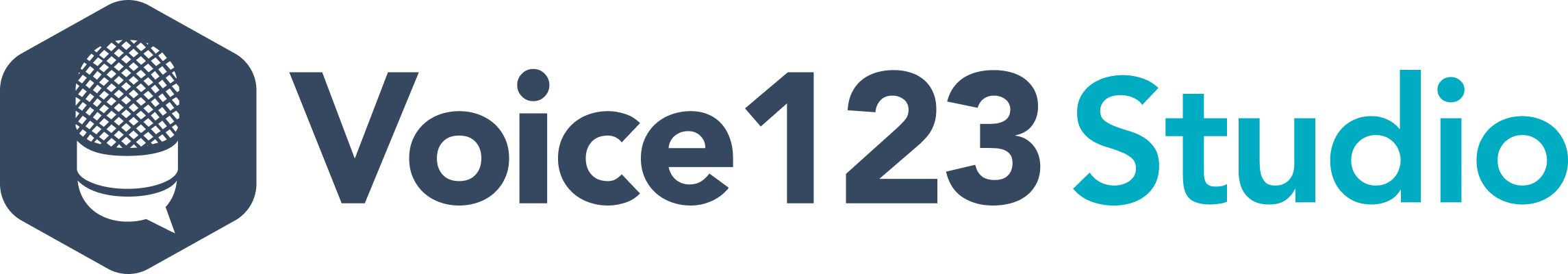 Voice123 - Footer