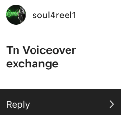 What you need to showcase on a successful voice actor website