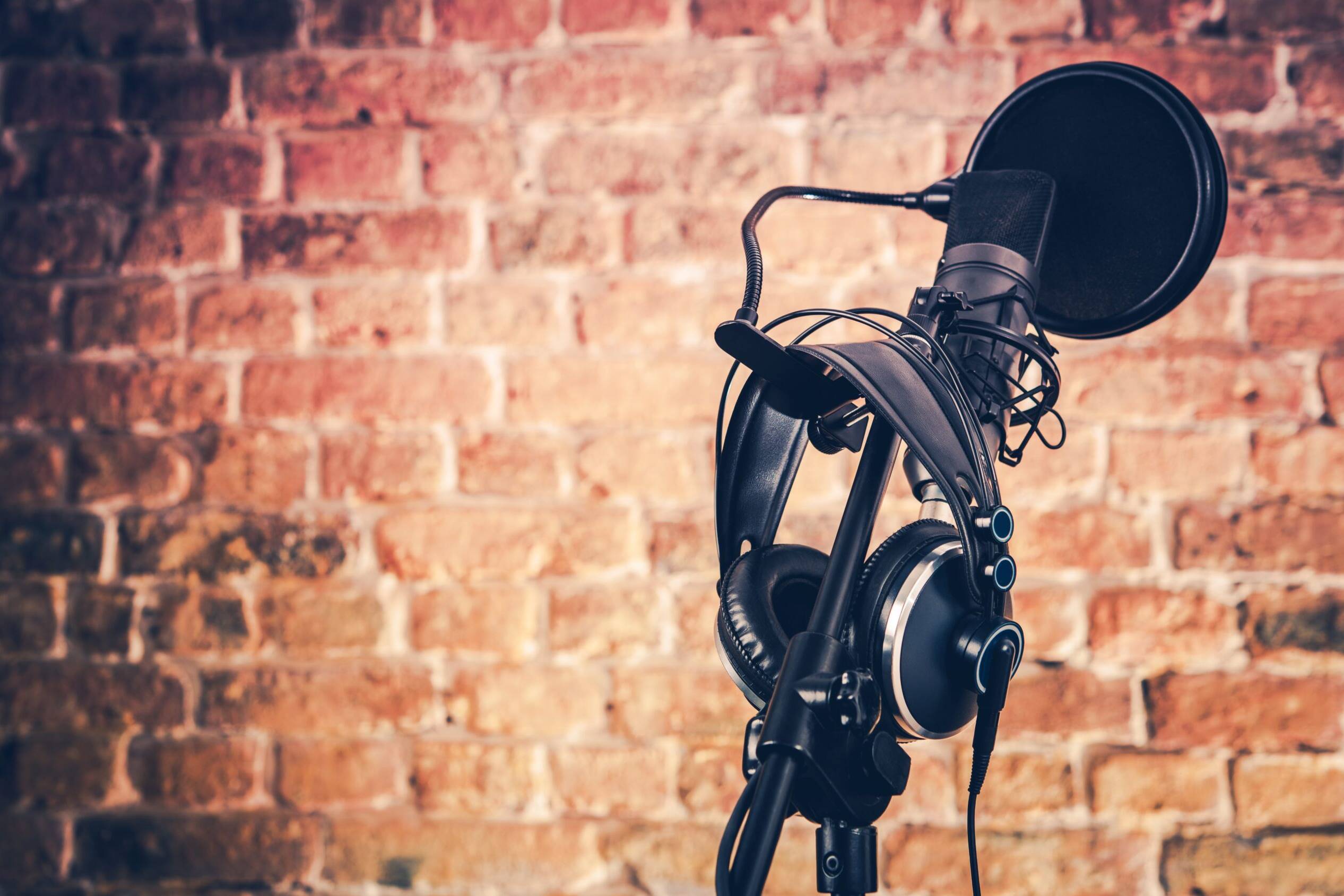 how much do voice actors make